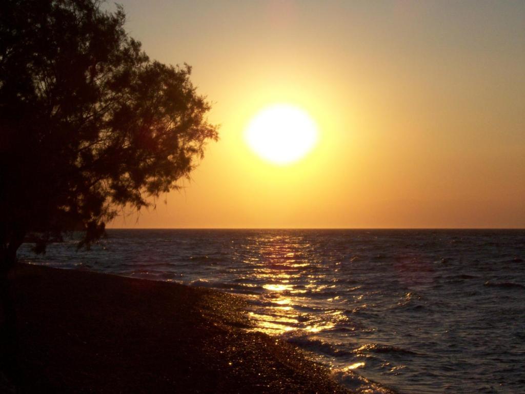 Hotel Bella Vista Mithimna Dış mekan fotoğraf